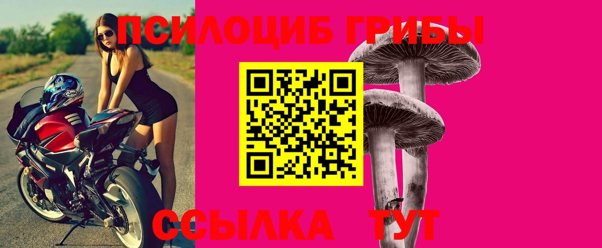 Псилоцибиновые грибы Cubensis Пермь